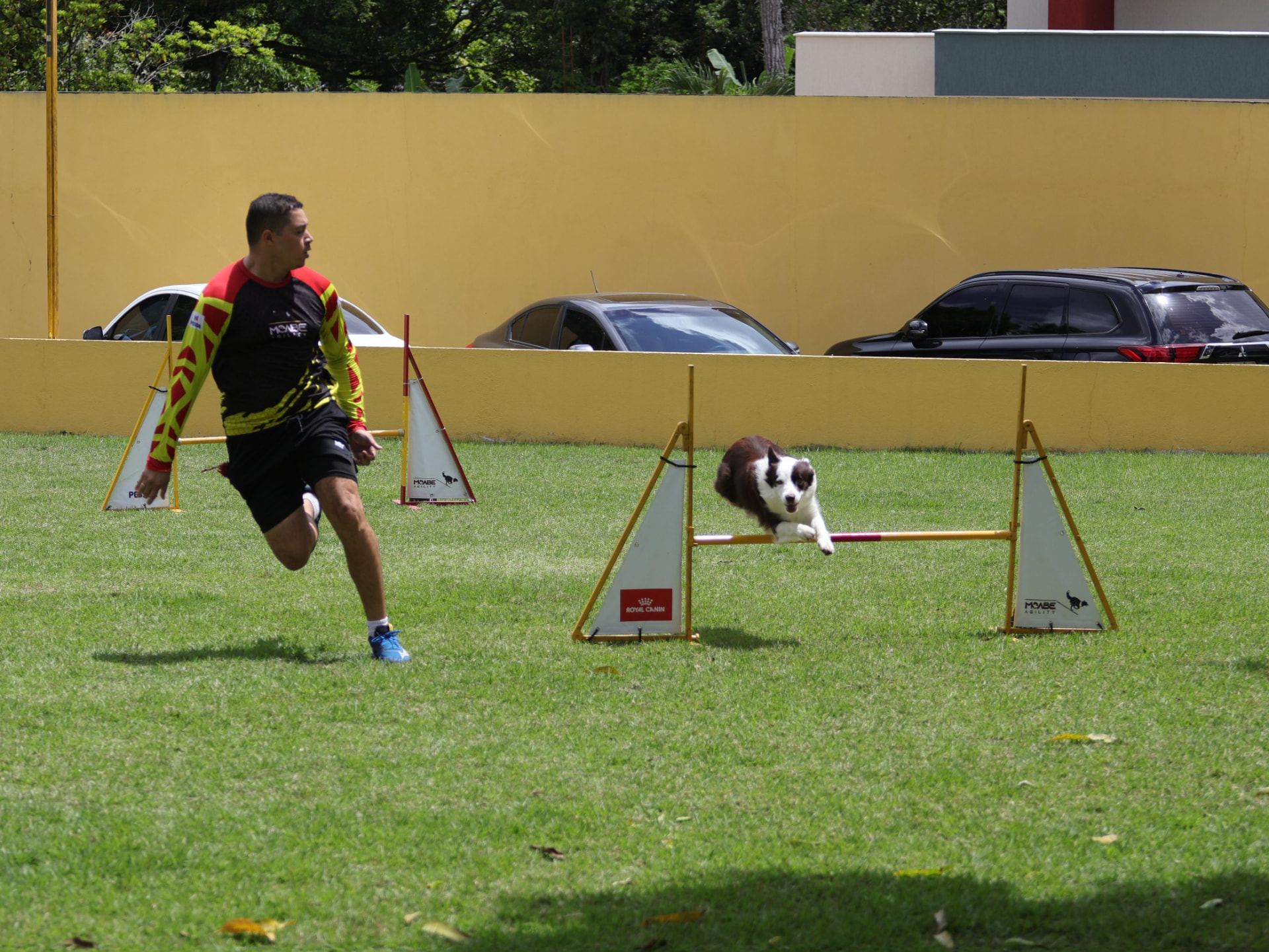 Lucas conduzindo o cão em circuito de agility