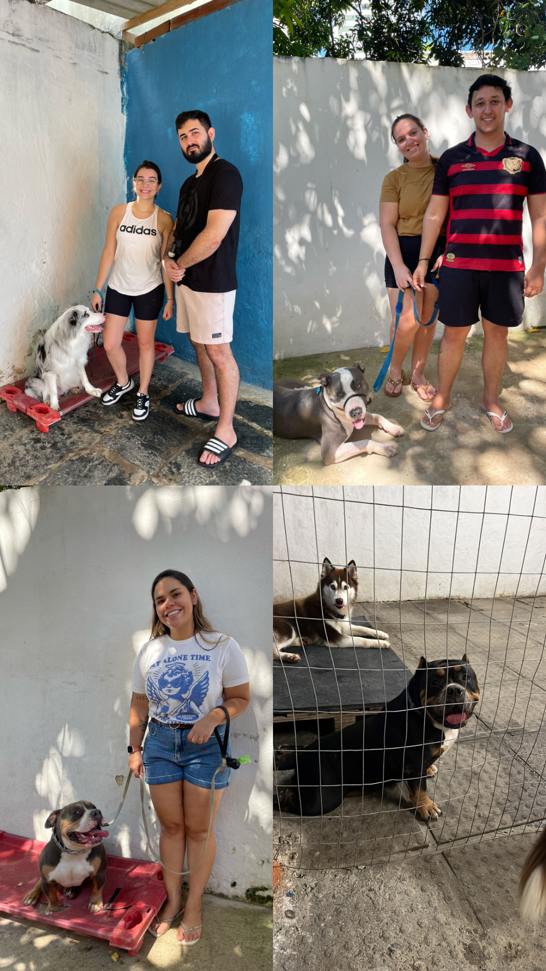 Clientes satisfeitos com seus cães após as aulas em grupo da LS Adestra